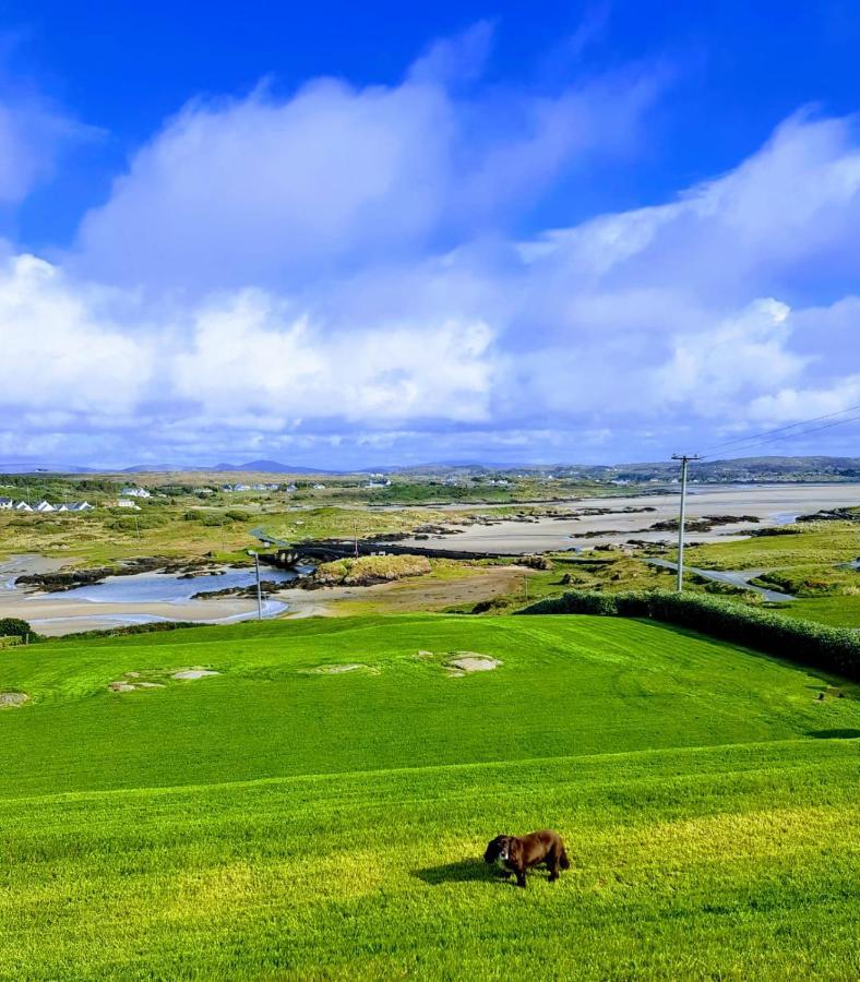Kincasslagh Tidal View Bed & Breakfast エクステリア 写真